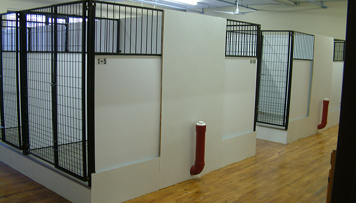 Deluxe & Standard Suites