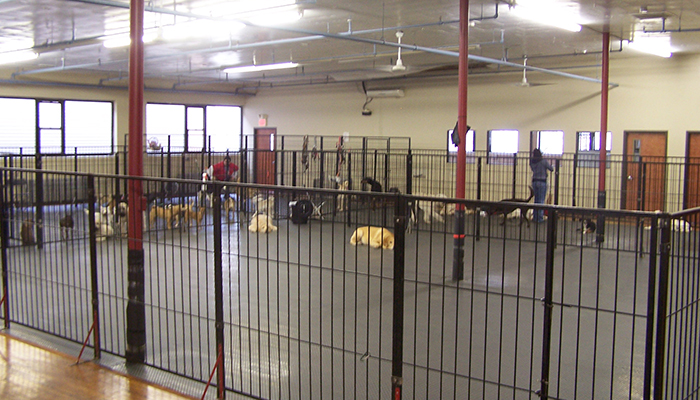 4 Spacious Indoor Runs