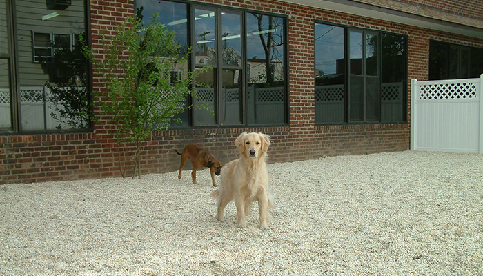 1,500 Square Foot Outdoor Run